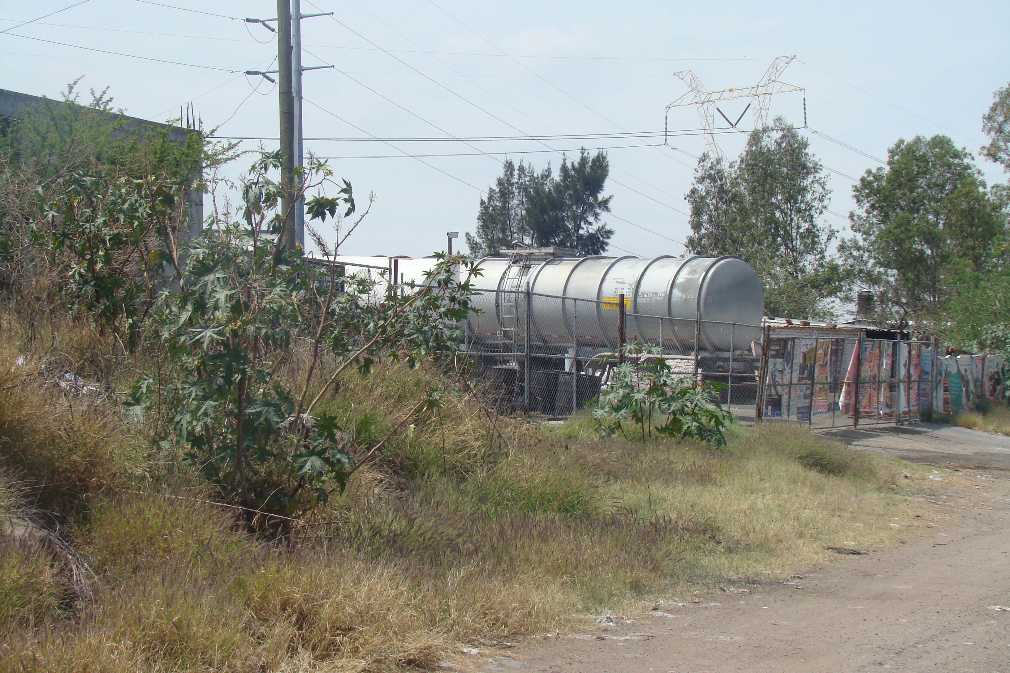 En la Ampliación San José los fumigan y autoridades se hacen de la vista gorda