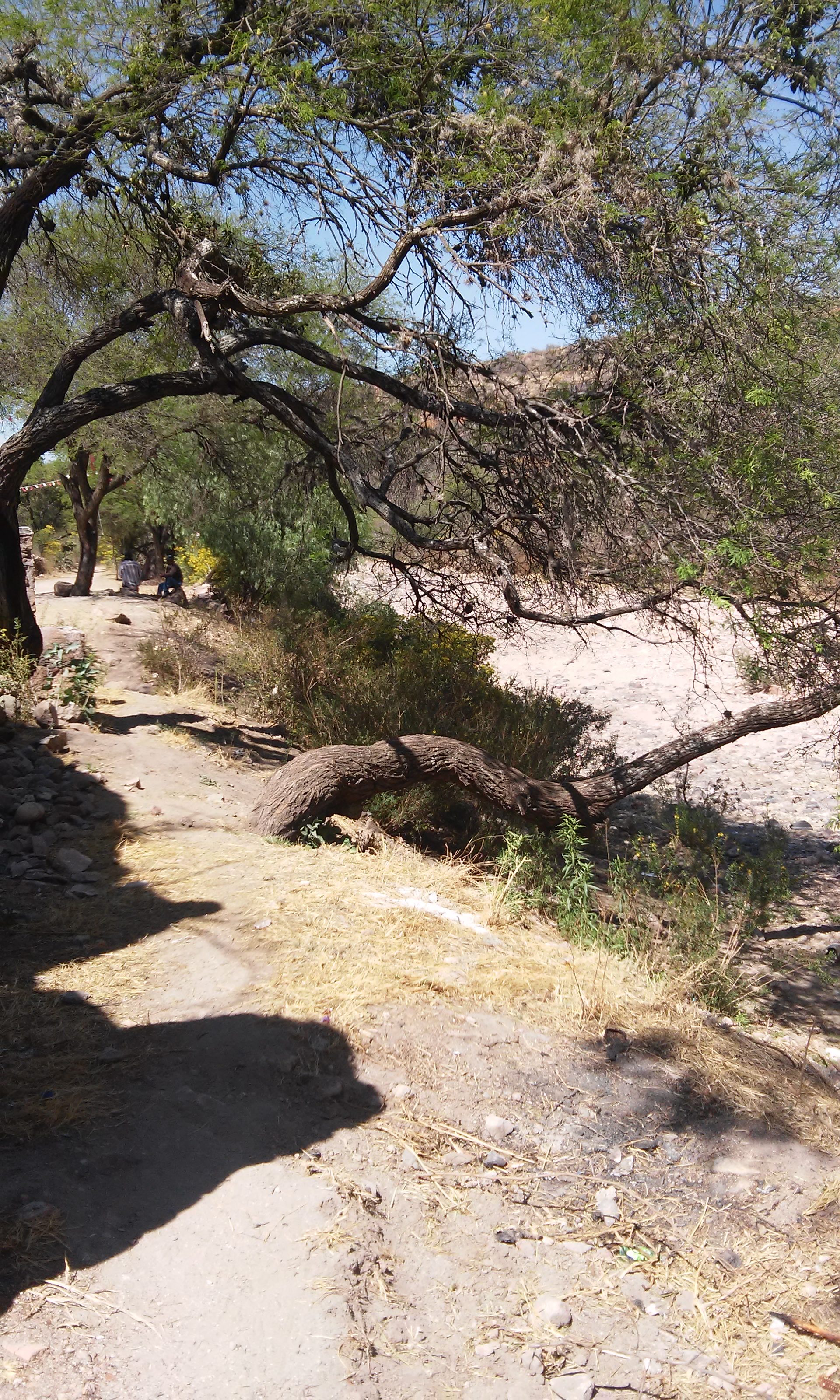 Instituto de Ecología fortalece Comités Técnicos de Áreas Naturales Protegidas.