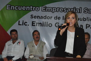 EMPRESARIOS 2