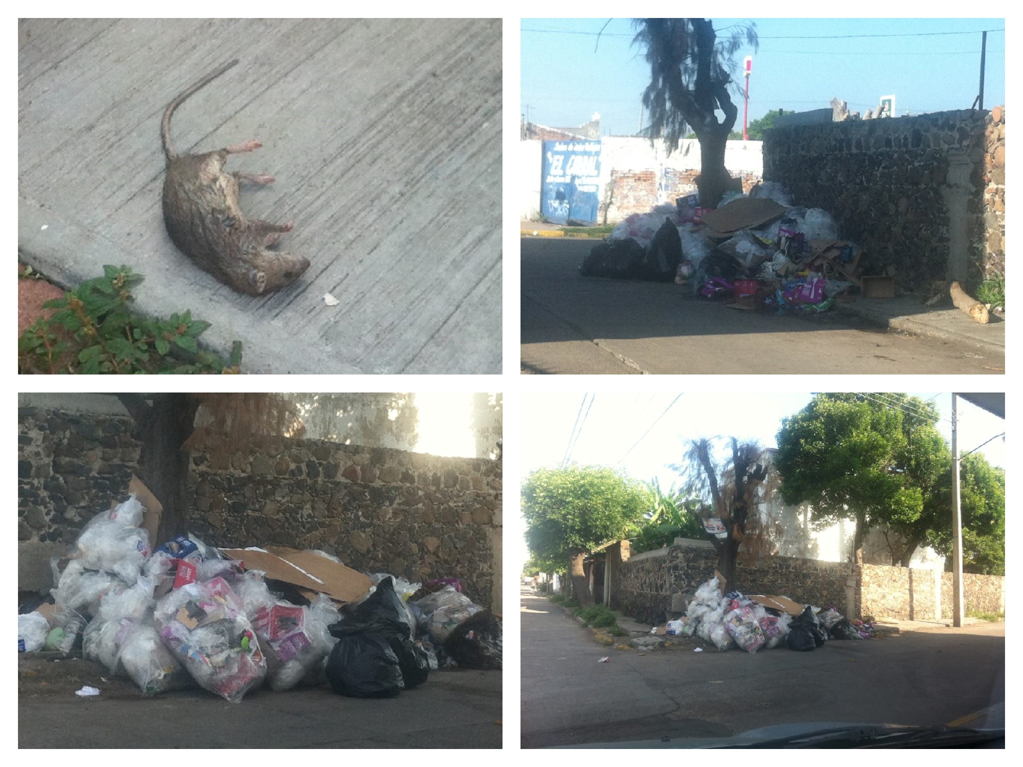 LA ESQUINA DE LAS CALLES ALDAMA y SOTO Y GAMA SE HA CONVERTIDO EN BASURERO CLANDESTINO