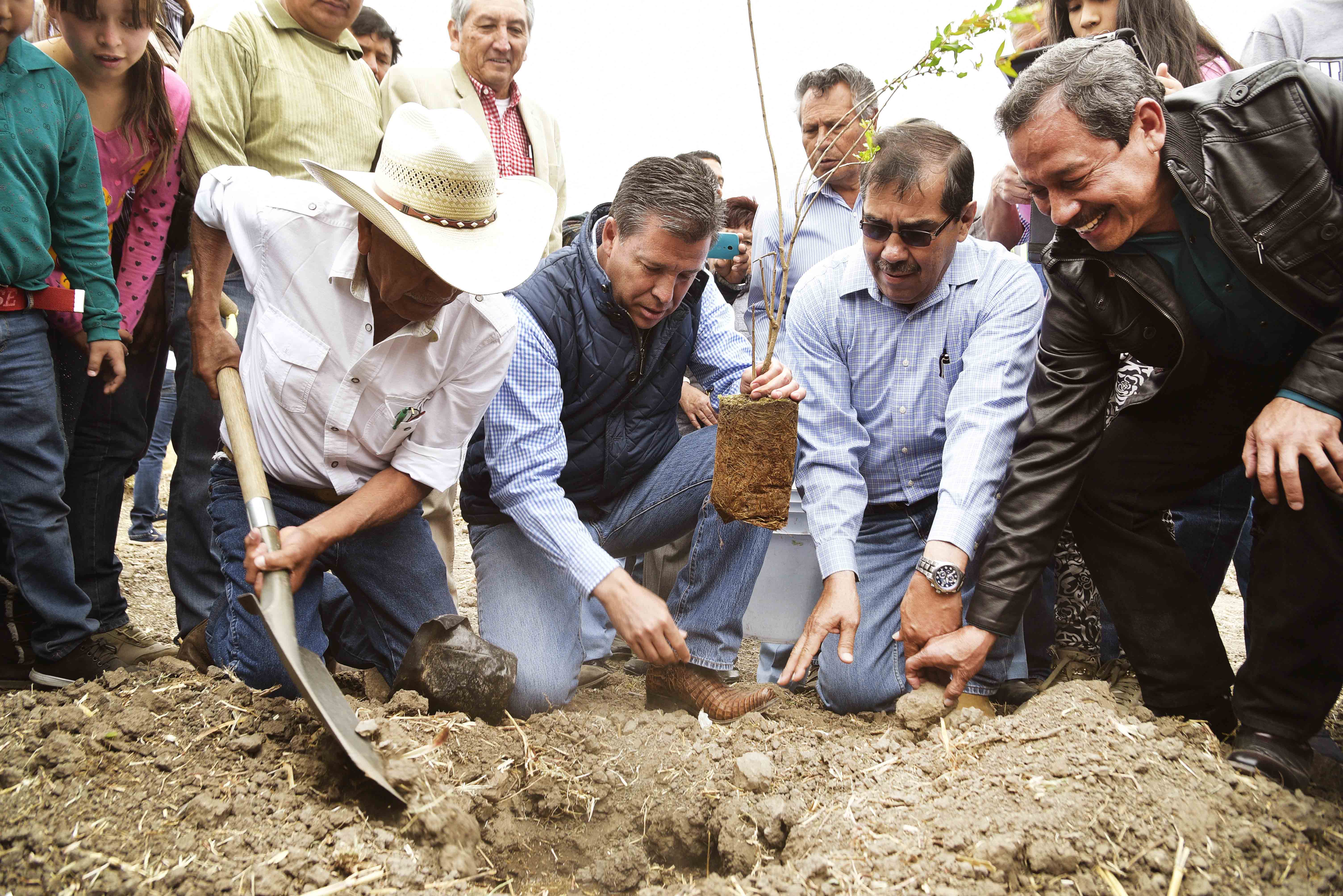 APOYA GOBIERNO DEL ESTADO A 461 PRODUCTORES CON PROGRAMA DE FRUTICULTURA