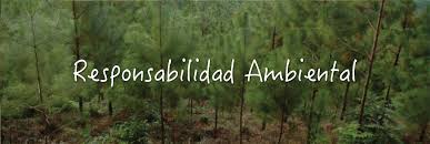 Implementa Instituto de Ecología del Estado Sistema de Manejo Ambiental (SMA) en dependencias estatales.
