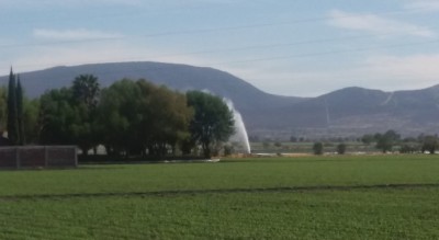 fuga toma ordeña