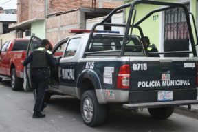 policiaca domingo