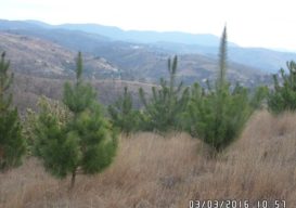 Imagen2
