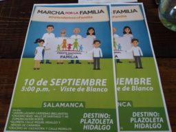 cartel marcha por la familia