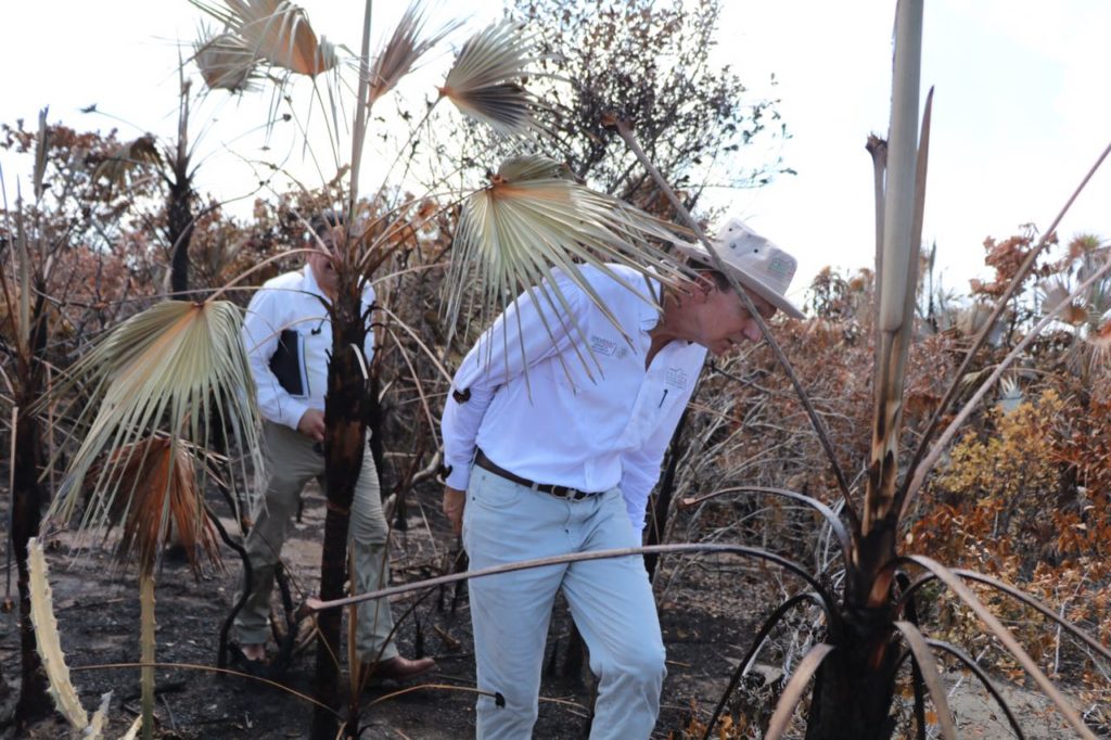 profepa-recorrido-holbox