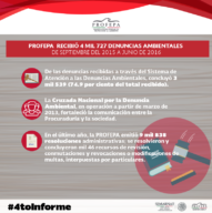 profepa_infografiea-denuncias-1