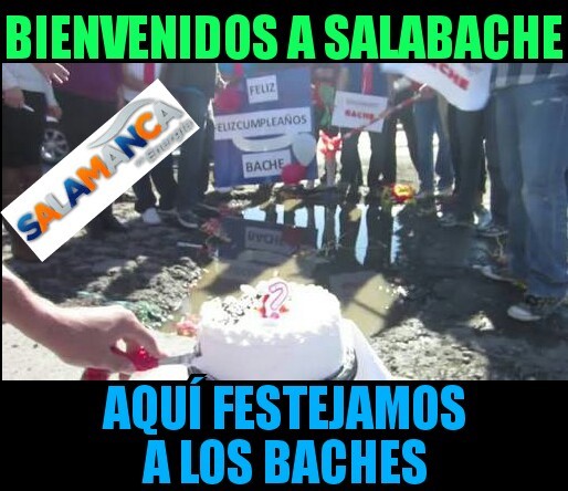 chacha-6