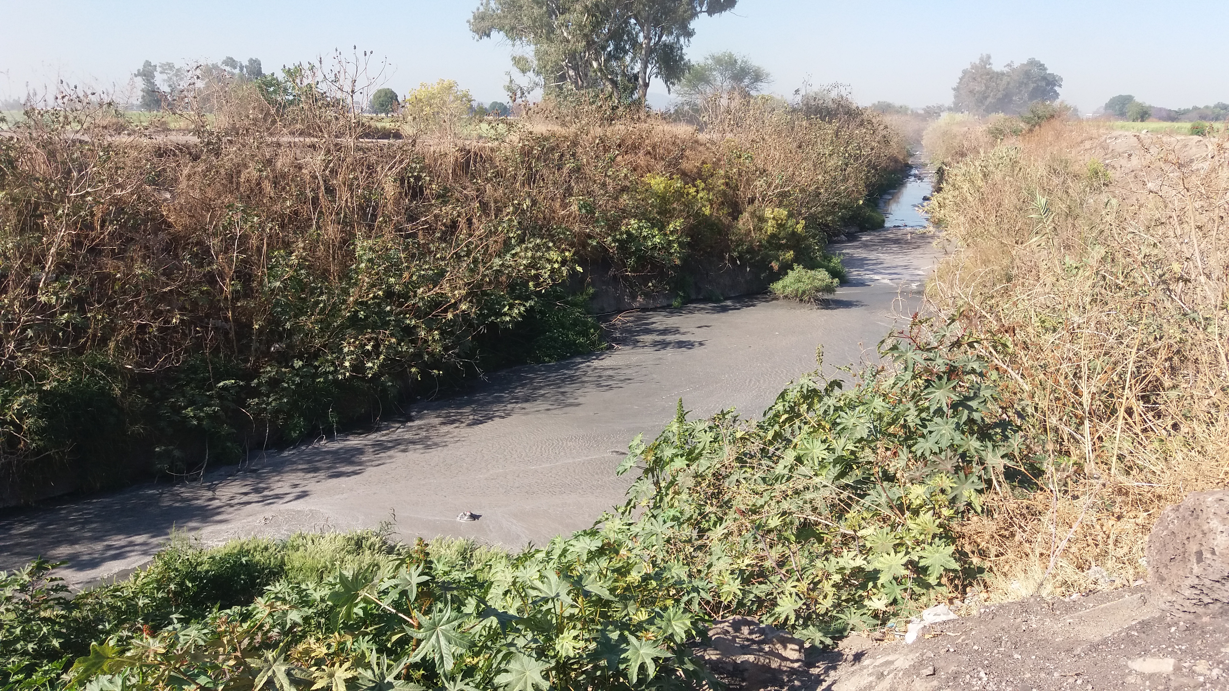 SALAMANCA E IRAPUATO, RESPONSABLES DE CONTAMINAR RÍO TEMASCATÍO