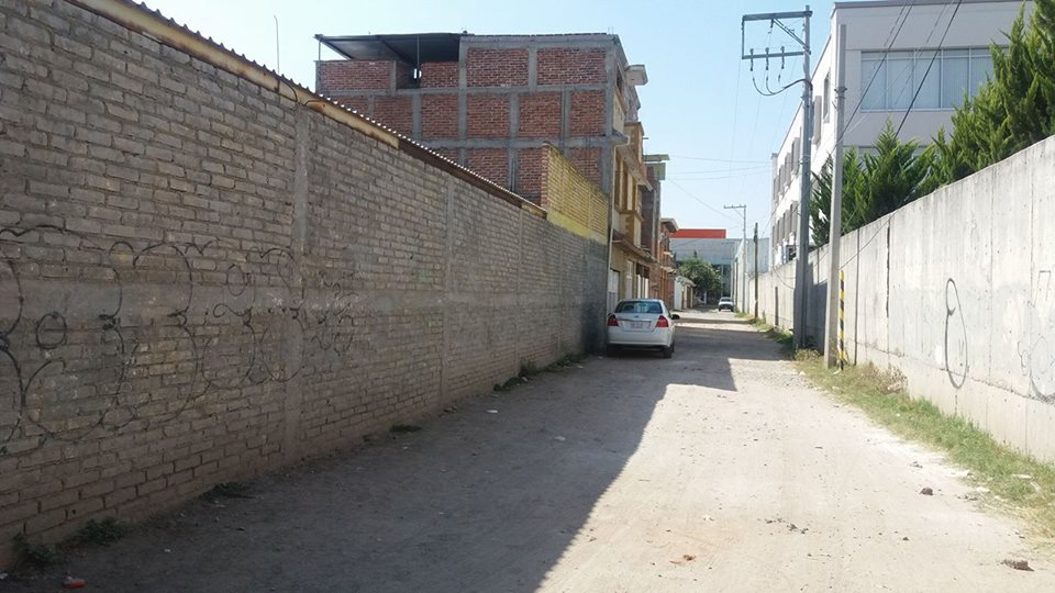 muro-irapuato-2