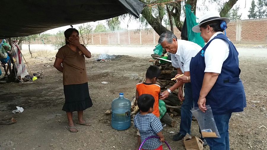 visita-a-campos-agricolas