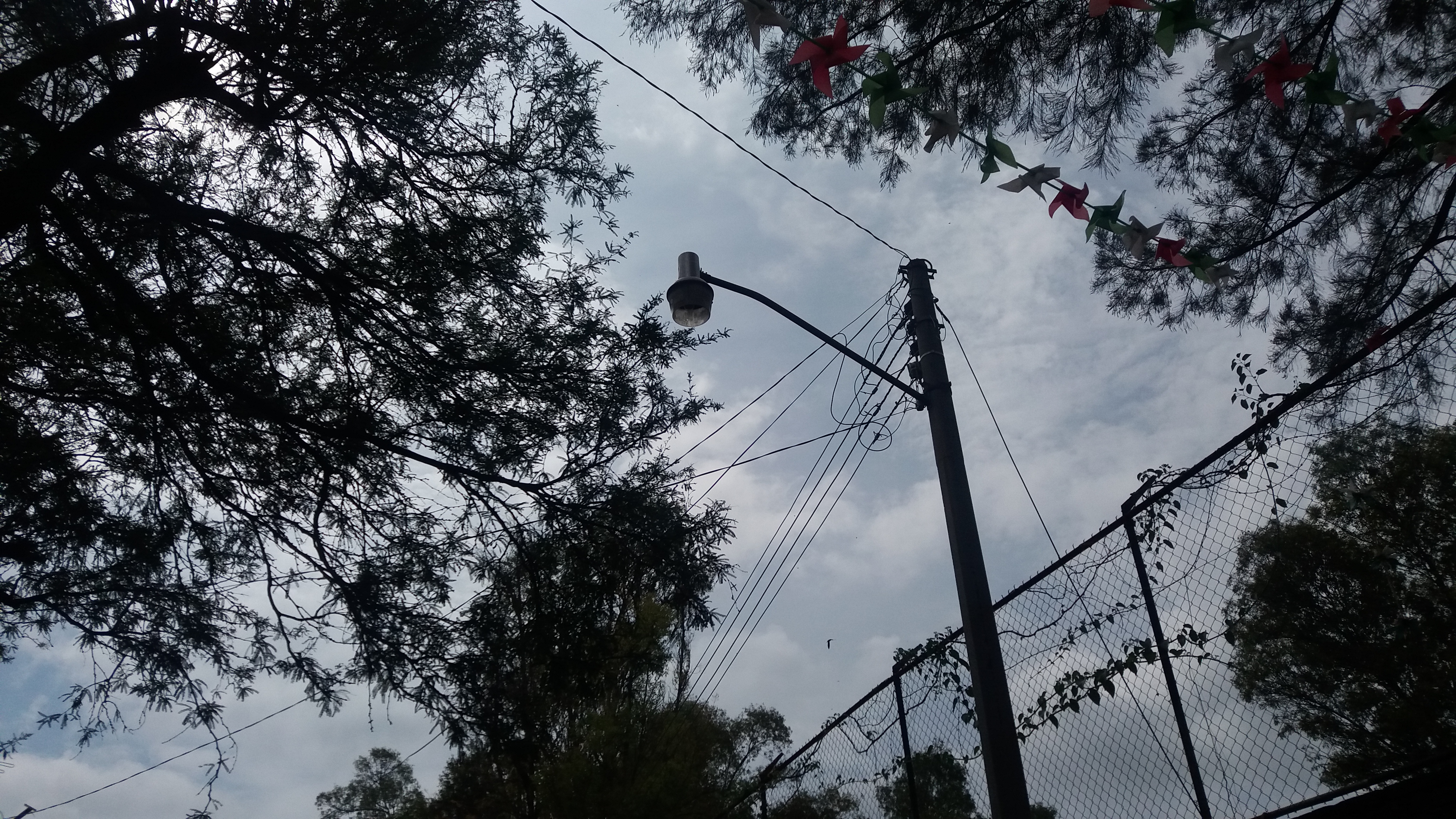 SIN ALUMBRADO PÚBLICO VECINOS DE LA CALLE ROGELIO GUTIÉRREZ