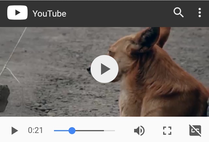 DISGUSTADO POR LA SUPUESTA AMENAZA DE MUERTE HECHA A SU VECINA.