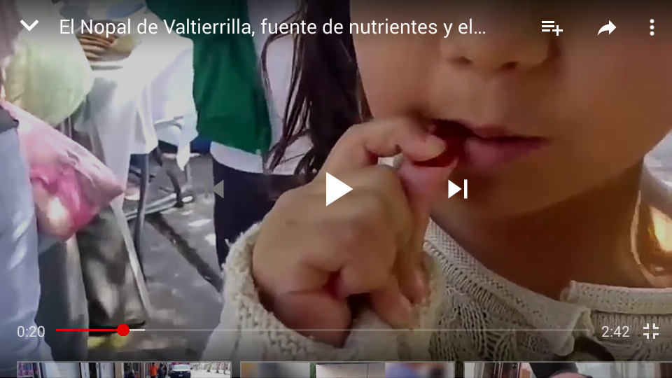 EL NOPAL Y SUS PROPIEDADES MEDIANTE SUS PRODUCTOS DERIVADOS.