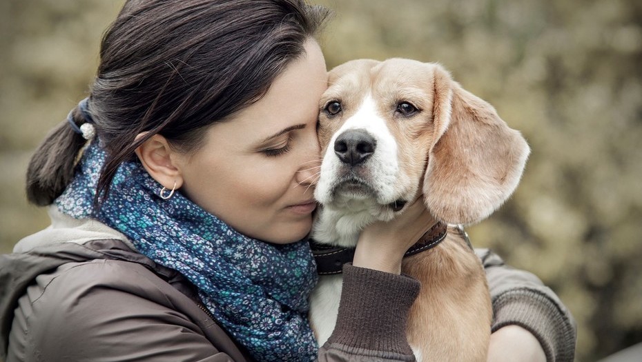 ¿Cómo reacciona tu perrito cuando estás triste?