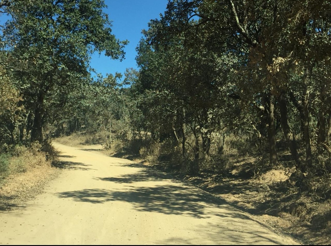 LISTOS CAMINOS PARA RALLY EN GUANAJUATO.
