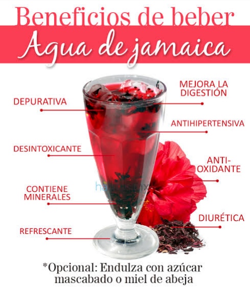 #Salud BENEFICIOS DE CONSUMIR AGUA DE JAMAICA. Será tu preferida.