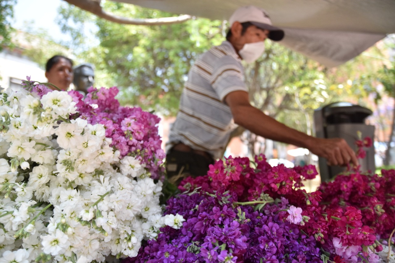#GuanajuatoCapital PARA APOYAR A FAMILIAS DE PRODUCTORES VENDEN FLORES TRADICIONALES DEL VIERNES DE DOLORES.