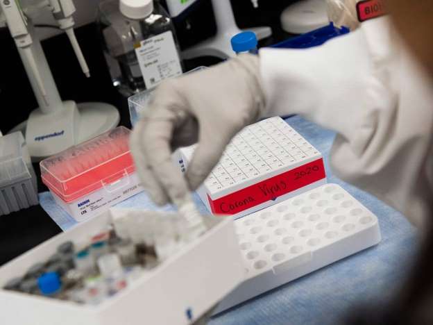 #Actualidad VACUNA ARNm-1273… PODRÍA PREVENIR EL COVID-19