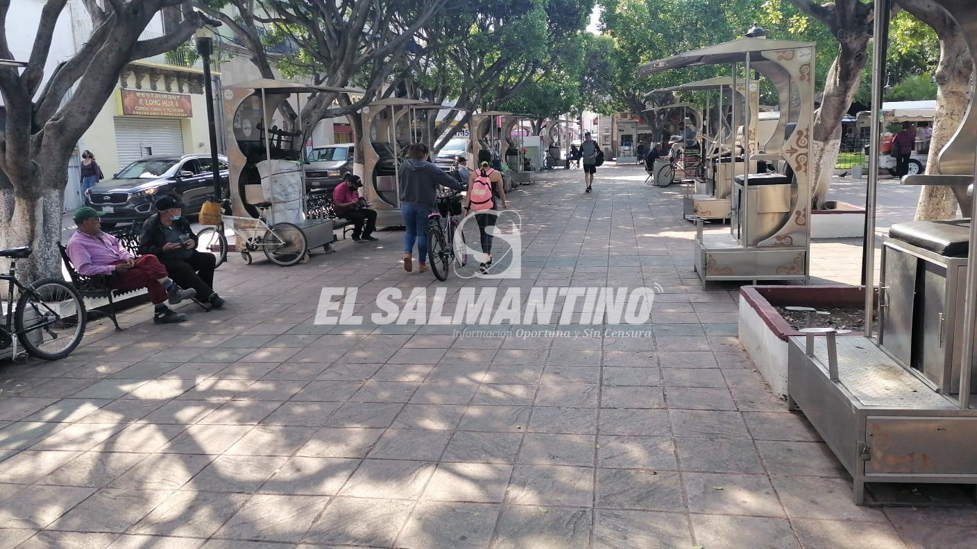 DISMINUYE NÚMERO DE BOLEROS EN EL JARDÍN PRINCIPAL DE SALMANCA.