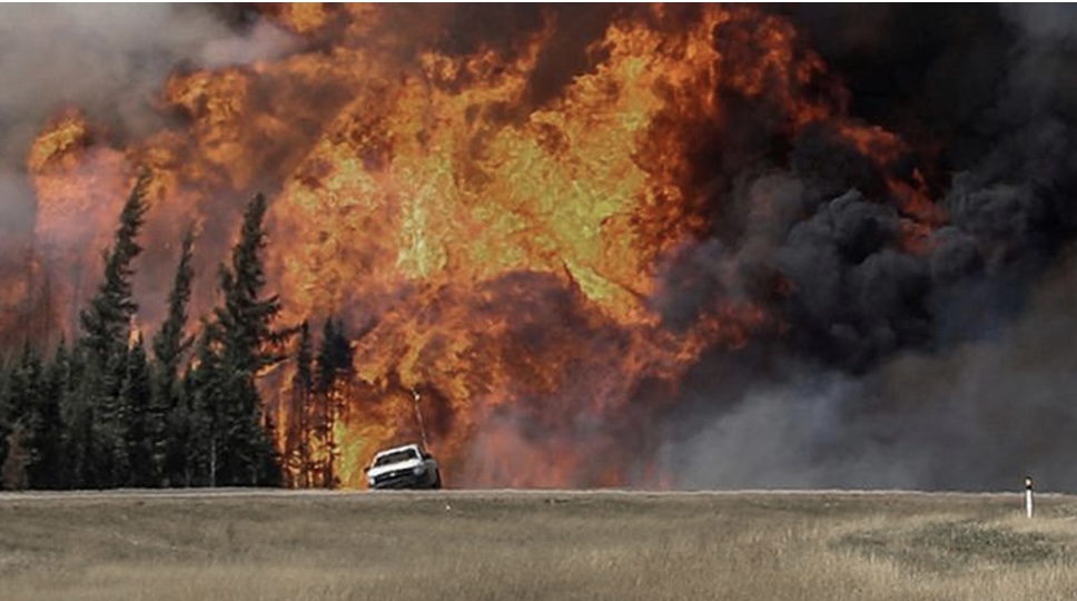 #BIÓSFERA Con la lumbre en los aparejos.