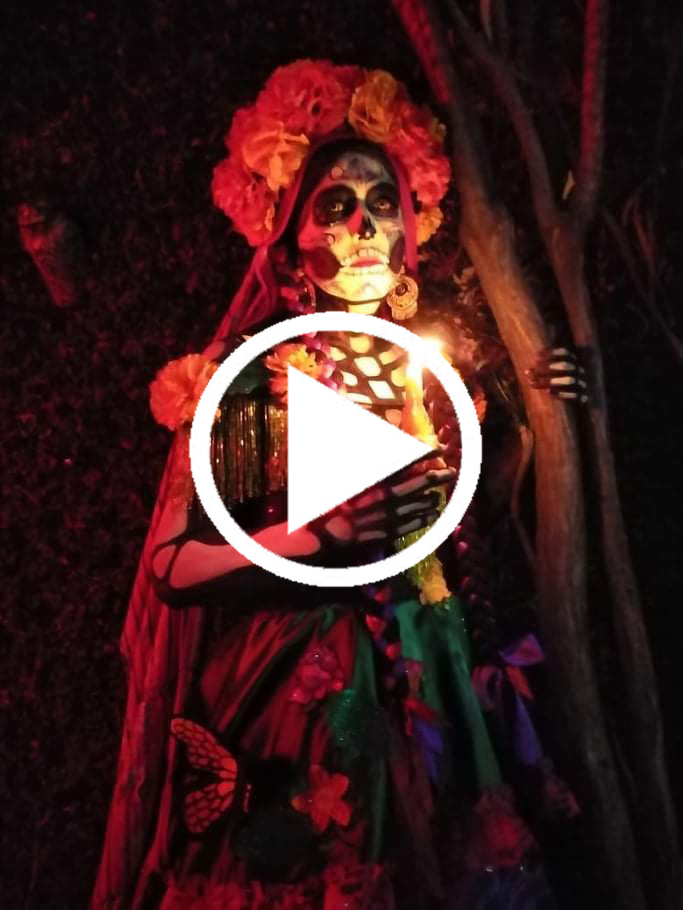 ESTEBAN SALAZAR LA CATRINA SALMANTINA.