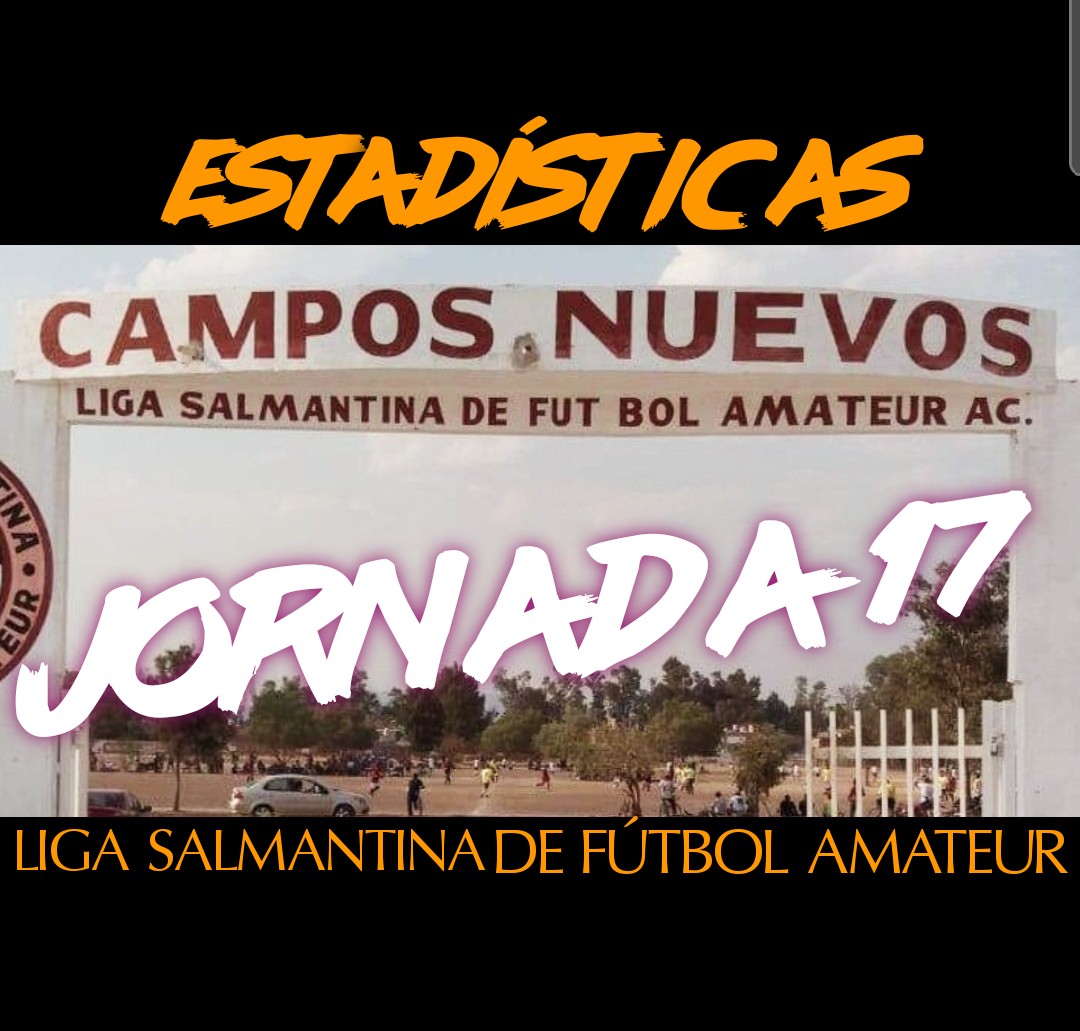 ESTADÍSTICAS JORNADA 17. LIGA SALMANTINA DE FUTBOL
