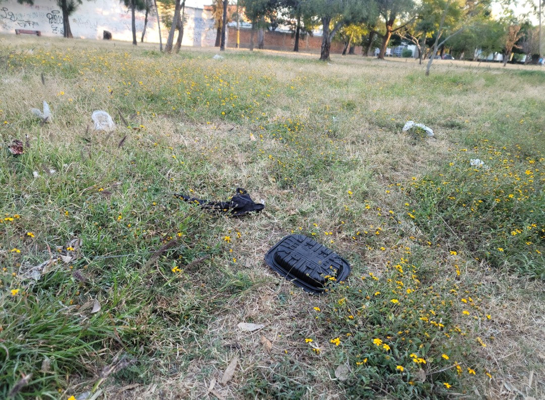 DESATENDIDAS ÁREAS VERDES DE LA BELLAVISTA