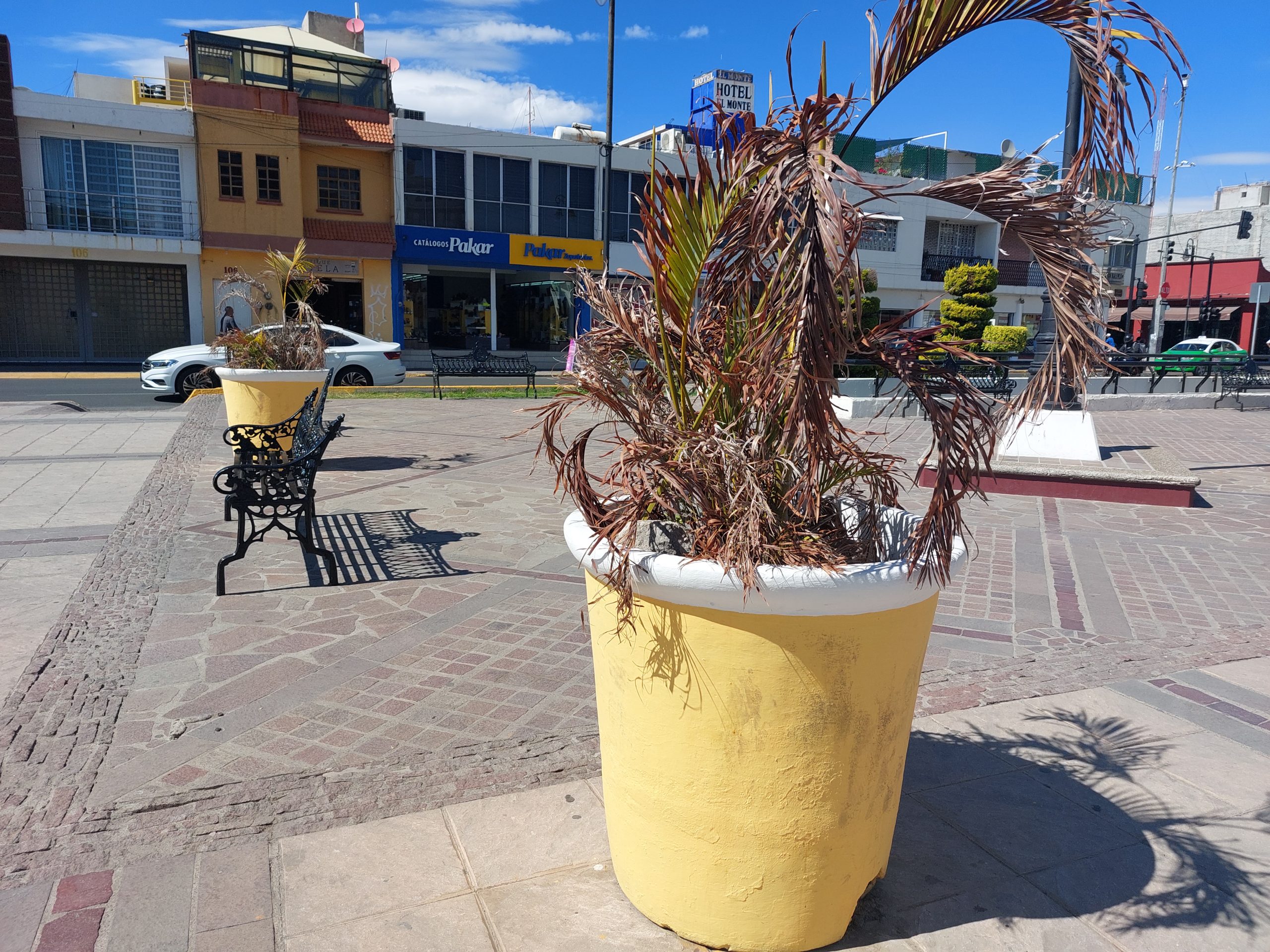 JARDINERAS DE PLAZOLETA HIDALGO, FALTAS DE ATENCIÓN Y CUIDADO