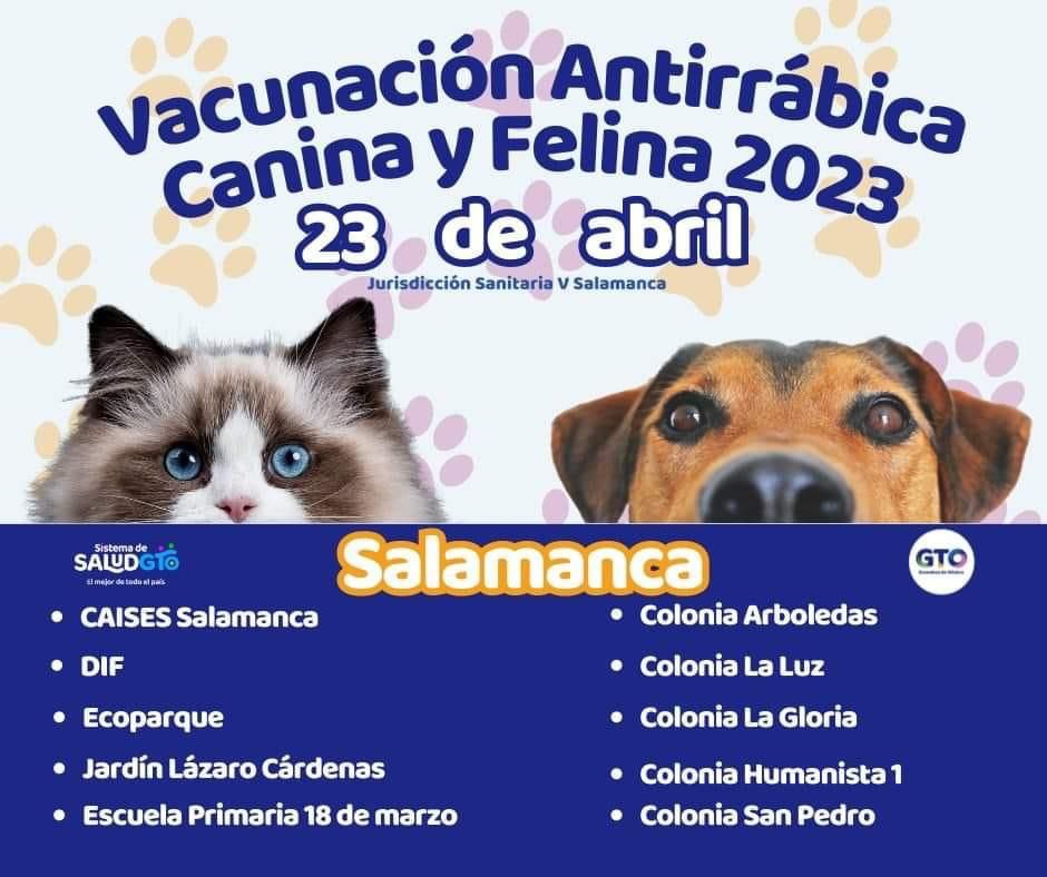 ¡PROTEGE A TUS MASCOTAS! VACUNACIÓN ANTIRRÁBICA ESTE DOMINGO EN SALAMANCA.