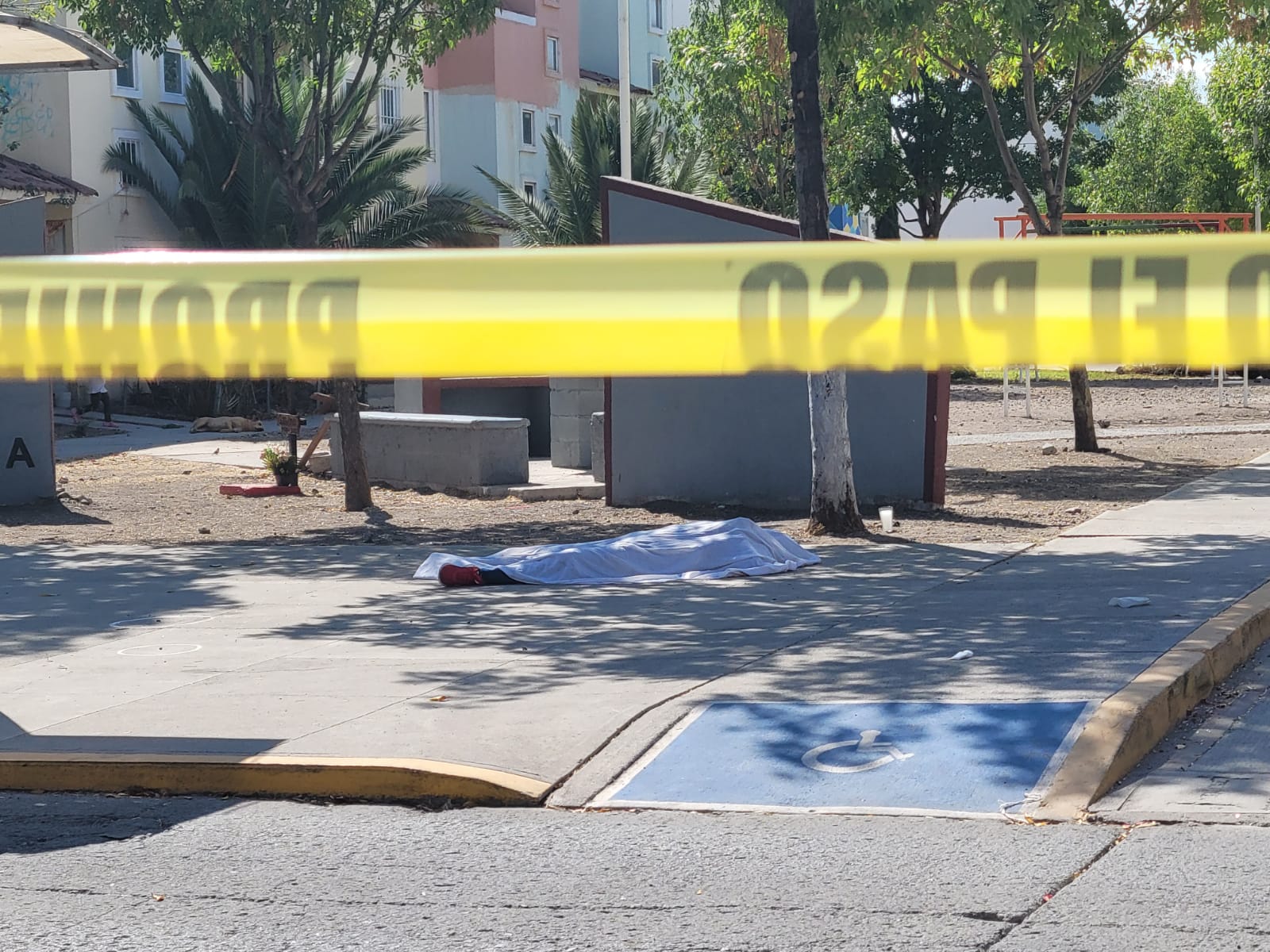 💥 UN MASCULINO FUE PRIVADO DE LA VIDA A TIROS EN COLONIA VILLA SALAMANCA 400