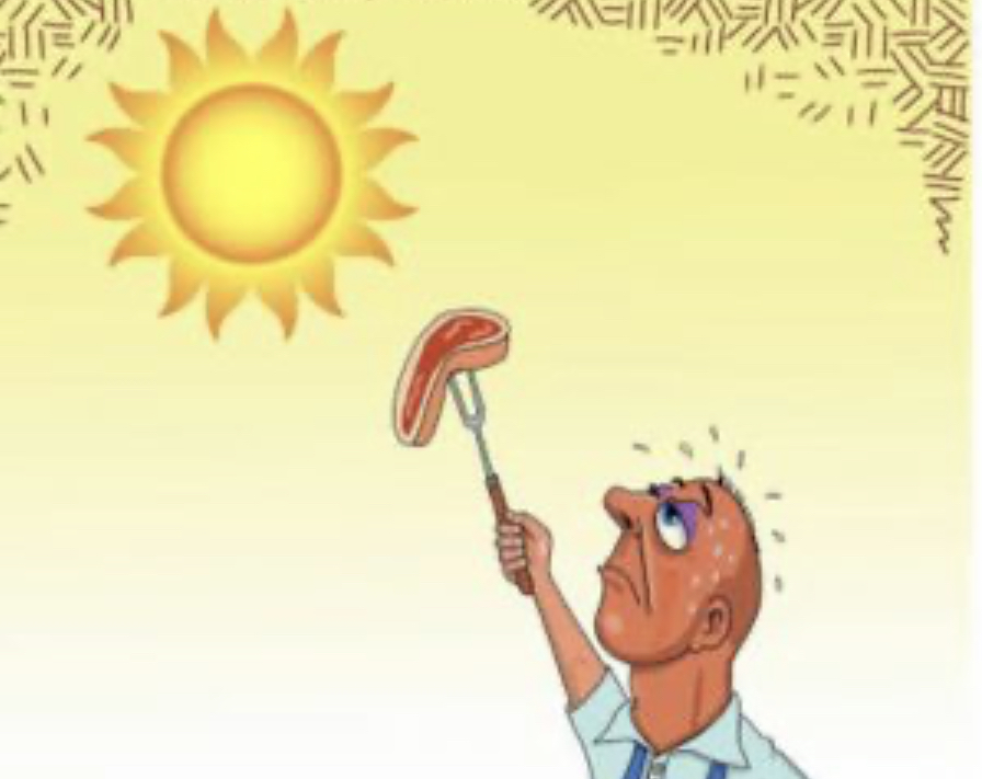 BIÓSFERA/ Ñooo, que calol¡