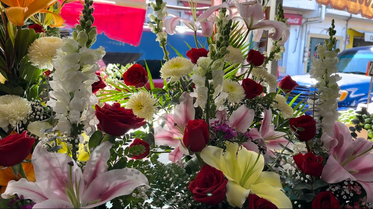 💥 TE PRESENTAMOS LA CARTELERA DEL FESTIVAL AMOR ES SALAMANCA; EN EL MARCO DEL DÍA DEL AMOR Y LA AMISTAD