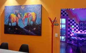 💥 MUSEO PACHA MOMA, EN IRAPUATO, CIERRA DEFINITIVAMENTE LUEGO DE…