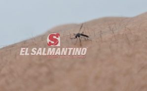 💥 SILAO: EL MUNICIPIO GUANAJUATENSE MÁS AFECTADO POR EL DENGUE.…