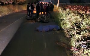 FATAL ACCIDENTE EN ZONA NORTE DE SALAMANCA DEJA COMO SALDO…