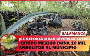 💥 GRUPO MÉXICO DONA 10 MIL ARBOLITOS A MUNICIPIO DE…