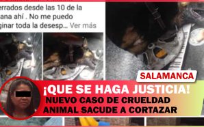 💥 NUEVO CASO DE CRUELDAD ANIMAL SACUDE A CORTAZAR. INTERPONEN…