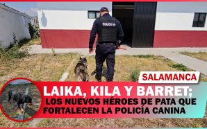 💥 LAIKA, KILA Y BARRET; LOS NUEVOS HÉROES DE PATA…