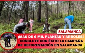 CONCLUYÓ CON ÉXITO CAMPAÑA DE REFORESTACIÓN EN SALAMANCA