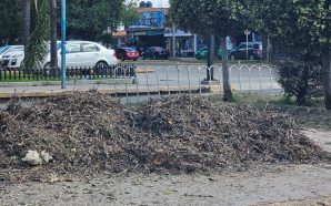 HECES FECALES Y PLUMAS DE LAS AVES GENERAN MALOS OLORES…