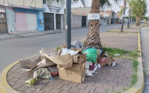 💥 BUSCAN AUTORIDADES IMPLEMENTAR MULTAS PARA QUIENES TIRAN BASURA EN…