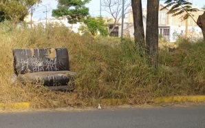 💥 BASURA, MALEZA E INCENDIOS; URGEN APOYO DE LAS AUTORIDADES…