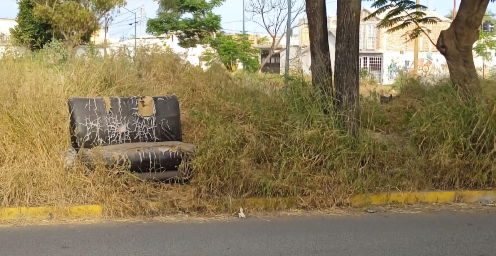 💥 BASURA, MALEZA E INCENDIOS; URGEN APOYO DE LAS AUTORIDADES EN CALLE SOL DE SALAMANCA