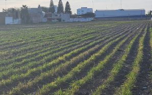 📌PRODUCTORES AGROALIMENTARIOS DE GUANAJUATO ASEGURAN VERSE AFECTADOS POR LA DELINCUENCIA…