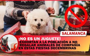 #Salamanca 💥 EXHORTAN A LA POBLACIÓN A NO REGALAR ANIMALES…