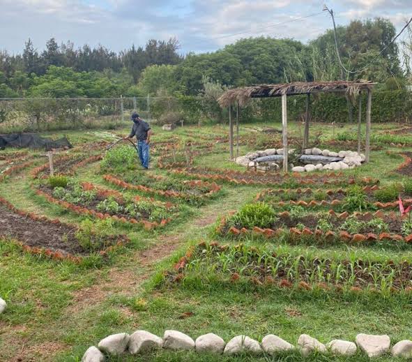 EL PROGRAMA DE ORDENAMIENTO ECOLÓGICO DEL MUNICIPIO DE SALAMANCA, GTO. (POELS) – PARTE 2