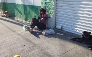 ENTREGARÁN COBIJAS Y HABILITARÁN ALBERGUE PARA FAMILIAS VULNERABLES DURANTE EL…