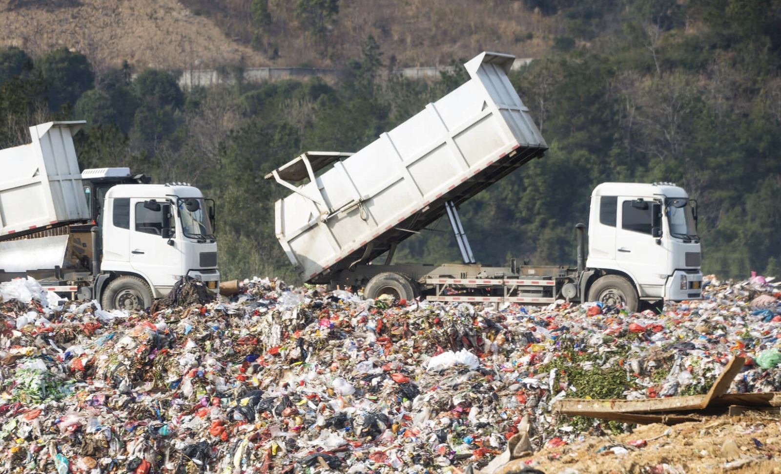 💥 EN CRISIS TIRADERO MUNICIPAL DE CORTAZAR; URGE UN NUEVO RECINTO DE DISPOSICIÓN
